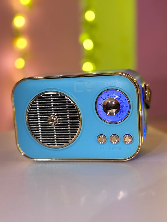 CY STAR 658 High Fidelity 10W Wireless FM Speaker with Retro Leather Finish & Grab Handle