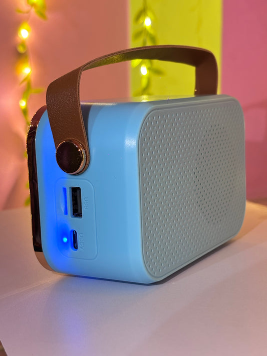 CY STAR 658 High Fidelity 10W Wireless FM Speaker with Retro Leather Finish & Grab Handle